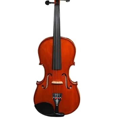Rozannas Lumina Student Skeleton Hand 4/4 Violin Outfit 2025 - Varnish image 4