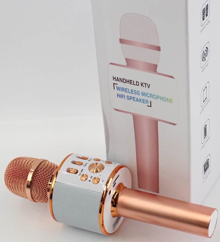 KTV HAND HELD WIRELESS MICROPHONE + SPEAKER, MULTIPLE FEATURES, ETC c2019 - WORKING image 1