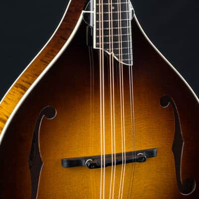 Collings MT2 Mandola Sunburst Adirondack Spruce and Flamed Maple NEW image 7