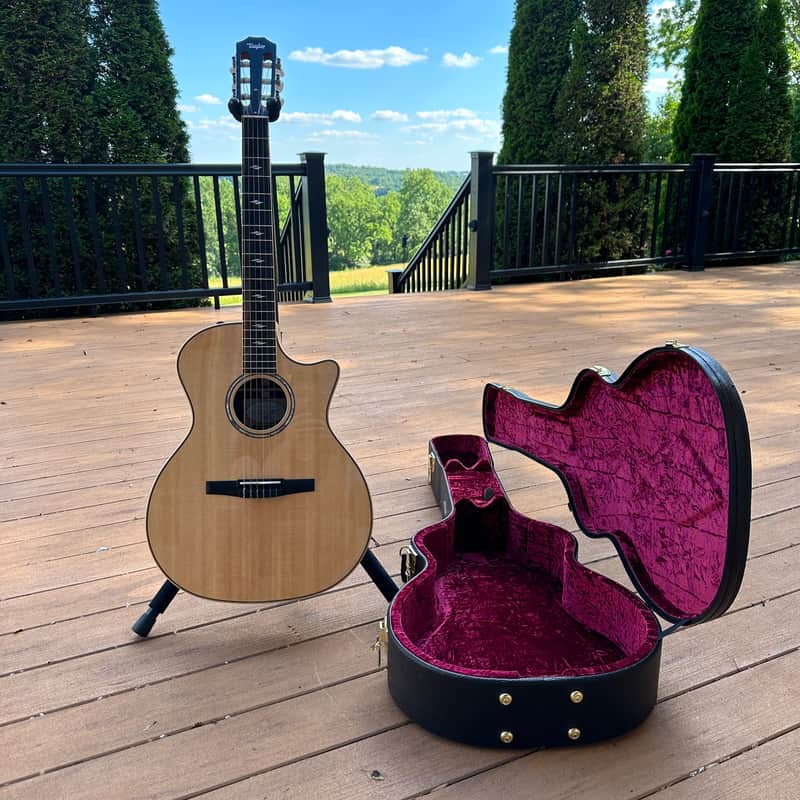 Taylor 814ce-N 2019 Grand Auditorium Classical Nylon Acoustic-Electric Guitar (with Case) - Natural image 1