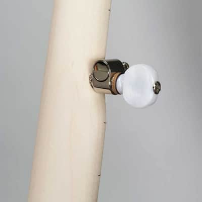Deering Goodtime 5-String Banjo image 3