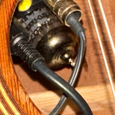 2003 Takamine EAN40C-12, Natural, Cool Tube image 6