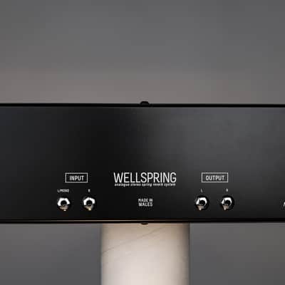 Teaching Machines Wellspring Stereo Spring Reverb Machine image 6