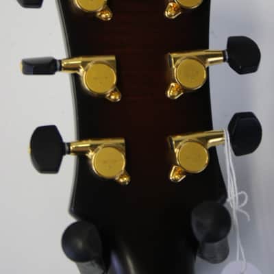 Landscape AR201 "Antique Violin" image 6