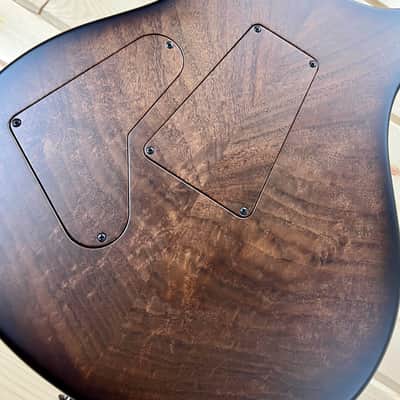 PRS Private Stock  Custom 24 Floyd Birds of a Feather NEW! PS #10796 image 20