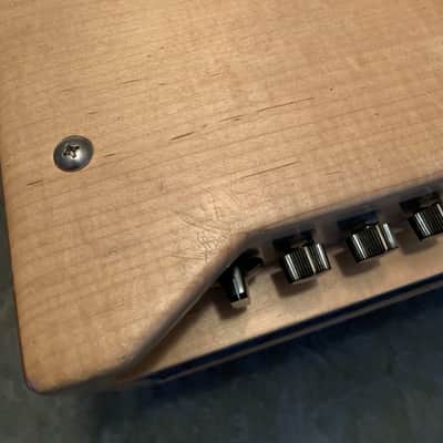 Alessandro 1/2 AZZ Head (The Derek Trucks Amp!) image 6