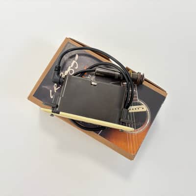 L.R. Baggs M1 Active image 3