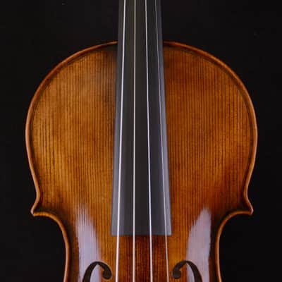 Fine Violin Stradivari 1716 Messiah Violin 1-PC Back No.W040 image 9