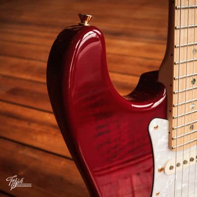 Fender Japan Richie Kotzen Stratocaster STR-RK Transparent Red Burst 2011 image 10