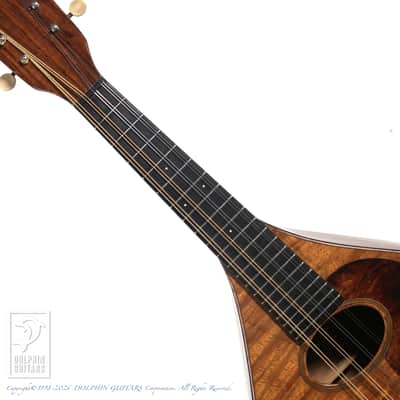 C.F.Martin Style-AK 1920[Pre-Owned] image 5