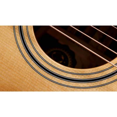 Taylor 50th Anniv. 314ce LTD Grand Auditorium Sapele/Torrefied Spruce Acoustic Electric Guitar image 7