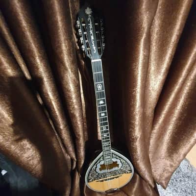 Greek Bouzouki &hardcase & pickup & 300 backing track with pdf scores 8 string image 1