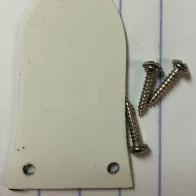 2009 Epiphone Les Paul Special II Electric Guitar Truss Rod Cover With Screws image 6