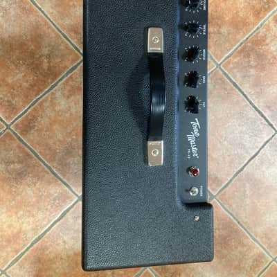 Fender Tone master FR 12 image 2