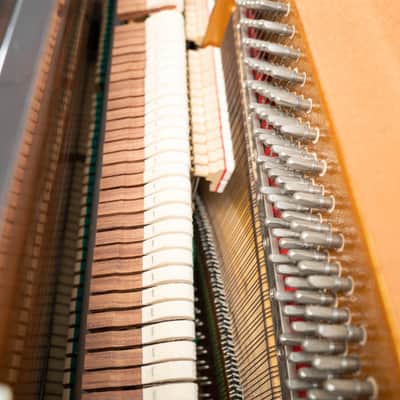 Weber W-118 Upright Piano w/ PianoDisc | Polished Dark Walnut | SN: T00020125 image 5