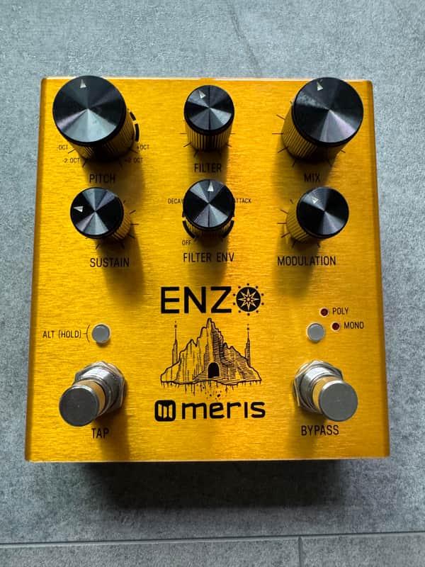 Meris Enzo