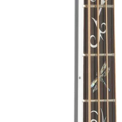 Michael Kelly Dragonfly 4 Acoustic-Electric Bass Guitar, Pau Ferro Fingerboard, Smoke Burst image 6