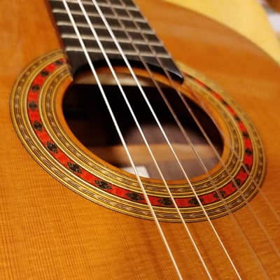 2020 Cordoba (Luthier Select Friederich) Classical Guitar image 1