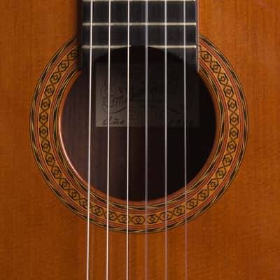 Manuel Velazquez Classical Guitar (1990), period hard shell case. image 13