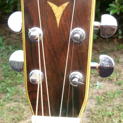 1974 Yairi YW-600 Dreadnought Guitar New Jacaranda Natural+vintage Hard Case image 6
