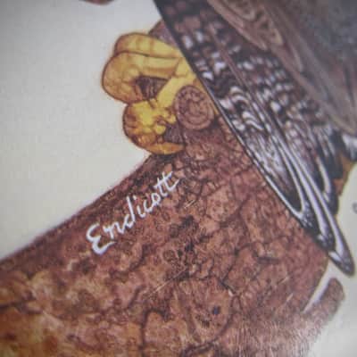 Fender Telecaster & Twin Reverb Authentic Vintage Poster "The High-Flying Mellow-Throated Telecaster" with Version B Bonus Poster Artist Endicott Circa-1976-Multi Color image 16