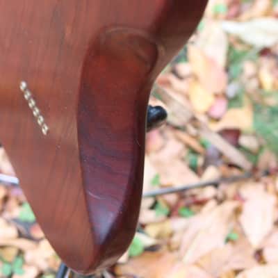 Schecter dream machine exotic woods boogie bodies brass hardware - natural image 11