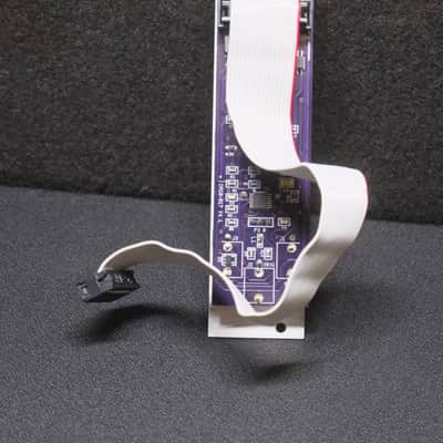 Circuit Slices ADSR Envelope Generator w/ Retrigger Eurorack Module image 2