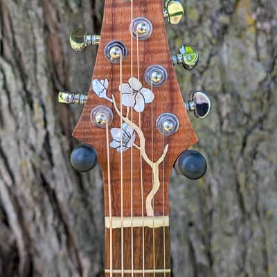 Van Gundy Customs The Spring Falcate Braced Acoustic Guitar image 5
