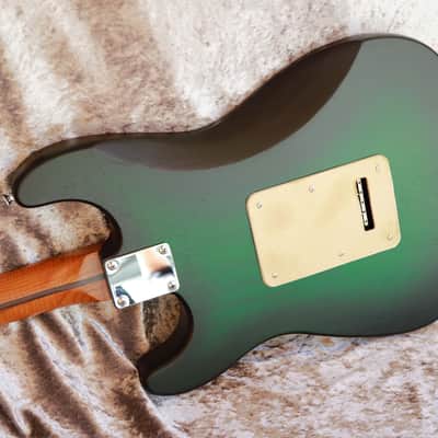 GB Liuteria Traditional Strato VegaTrem - strat style - Bog Oak image 6