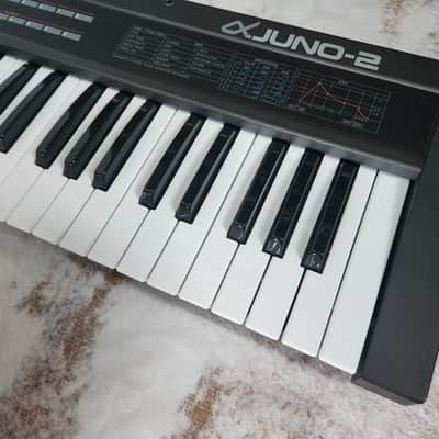 Roland Alpha Juno-2 Analog Synthesizer - Excellent Condition - Original Japanese 100V - Fully Working image 5