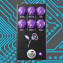 JHS VIOLET BLACK Lari Basilio Signature