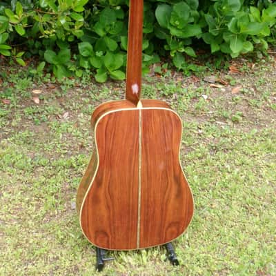 1973 Yairi YW600G Grammer Guitar Style New Jacaranda - Natural+Flight Case image 6