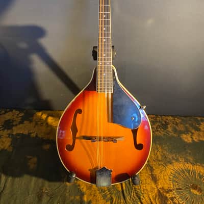 Alvarez A-100 Mandolin w/ TKL Hardcase image 2