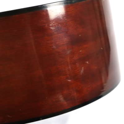 Vintage Tokai Gakki Japan DM12-5 12-string Acoustic Guitar Project image 18