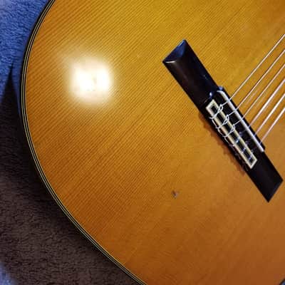 Fernandes/Takamine GC25 in 1975 image 5