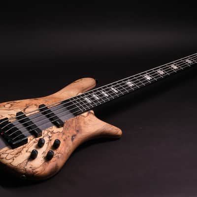 Spector CST limited Edition 2026 - Spalted Maple image 6