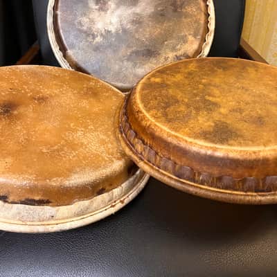 3 Custom Pre-Mounted Steer Conga Heads 2020's - Steer - Full set image 4