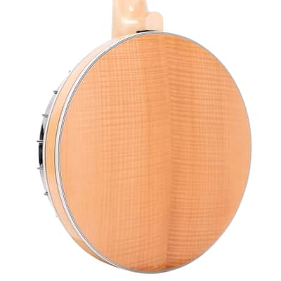Gold Tone GT-750 Deluxe Hard Rock Maple Neck 6-String Banjitar(Banjo-Guitar) w/Gig Bag & Resonator image 7