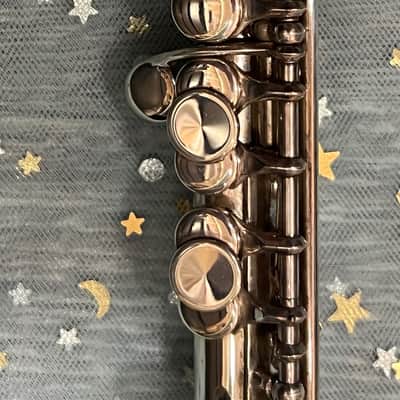 WILLIAM S. HAYNES Db PICCOLO 1923 - STERLING SILVER image 8