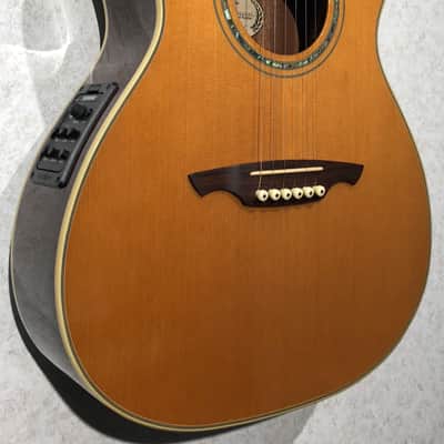 Immagine Wechter NV5413ce Natural - 1