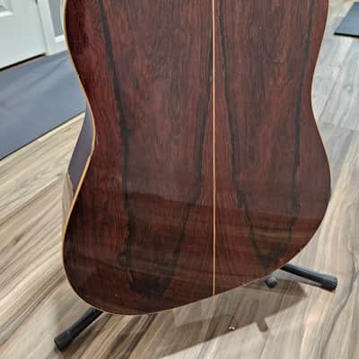Giannini AWS-680 12 string Acoustic Guitar image 7