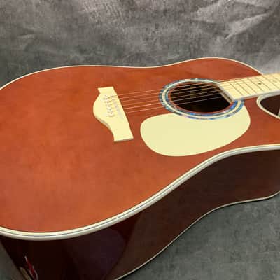 Esteban VL-200 Acoustic/Electric Prototype 2009 image 10