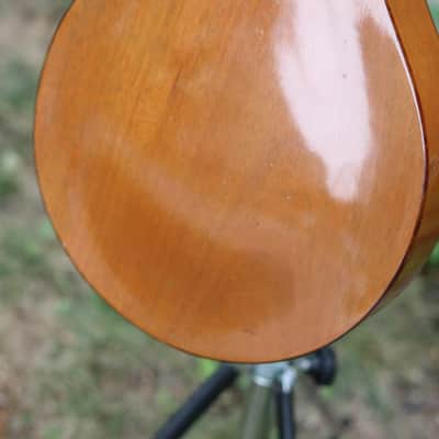 Kay/Harmony mandolin 1950's - natural image 7
