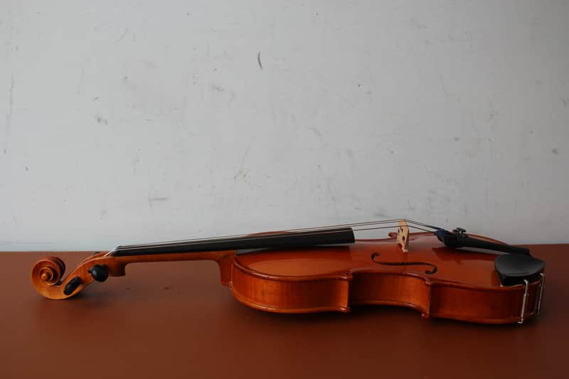 Josef Jan Dvorak 260 Handcrafted by Strunal in Luby 1/2 Violin w