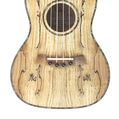 Sun Star Spalted Maple Concert Ukulele image 1