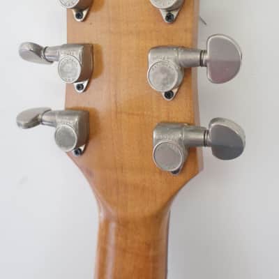 Weird Gear Alert! Flower Power! Vintage 1960s Unknown Home Made Acoustic Electro Guitar Hippy Height Ashbury Busker Scene Very Well Made With Rare Parts Vintage Rare DiMarzio Humbucker pickup & Patent Pending Grover Tuners 3+3 image 23
