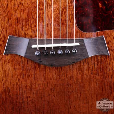 Taylor 25th Anniversary 1999 (310-M) image 12
