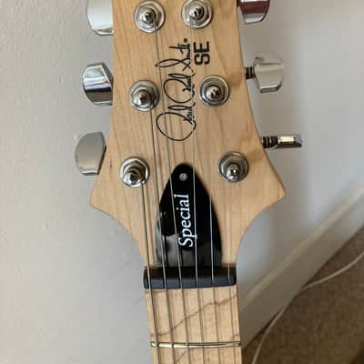 PRS SE Swamp Ash Special image 10