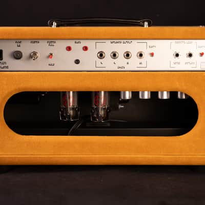 Amplified Nation Dirty Wonderland 2021 - Buckskin Suede 50 Watt image 2