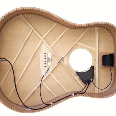 LR Baggs Anthem Internal Tru-Mic System - White image 2